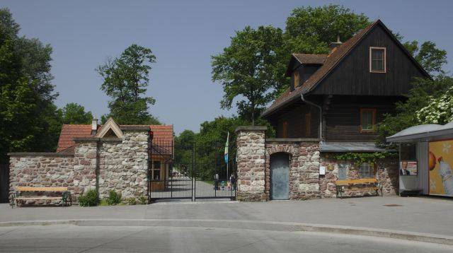 Der Lainzer Tiergarten ist ein letztes Stück urtümlichen Wienerwaldes am Rand der Großstadt. Ideal um während der Klassenfahrt nach Wien Naturerlebnis und Bildung zu verbinden.